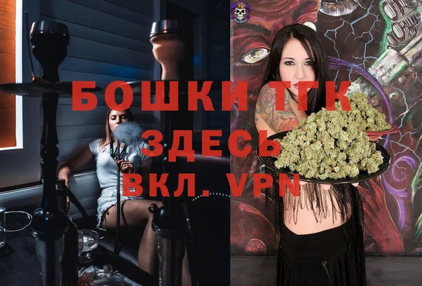 дживик Алексин