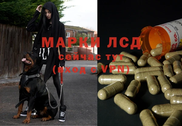 дживик Алексин