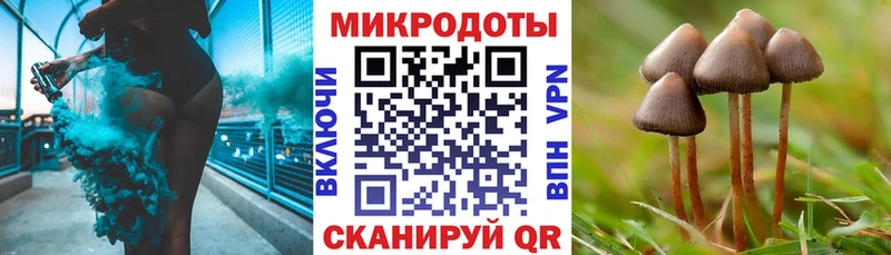 где можно купить   Красноуральск  Галлюциногенные грибы Psilocybine cubensis 